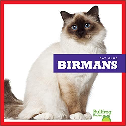 okumak Birmans (Cat Club)