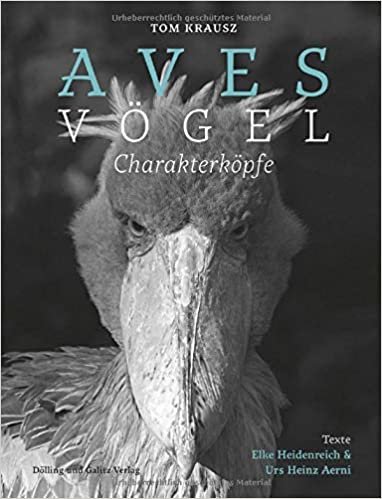 okumak Aves | Vögel. Charakterköpfe