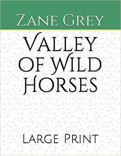okumak Valley of Wild Horses: Large Print