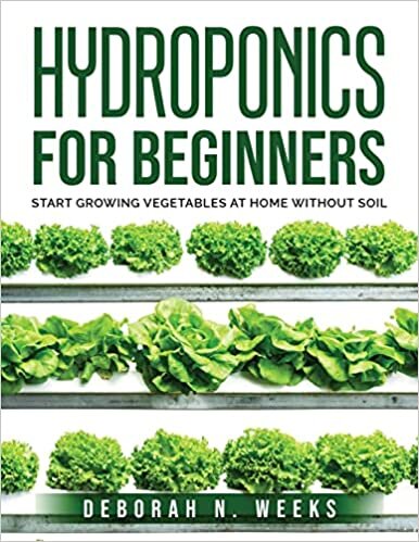 okumak Hydroponics for Beginners: Start Growing Vegetables at Home Without Soil