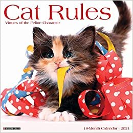 okumak Cat Rules 2021 Calendar
