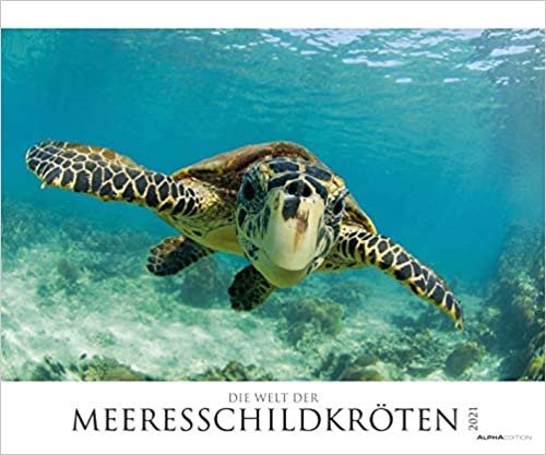 okumak Die Welt der Meeresschildkröten 2021 - Bild-Kalender XXL 60x50 cm - Sea Turtles - Tier-Kalender - Natur - Wand-Kalender - Alpha Edition