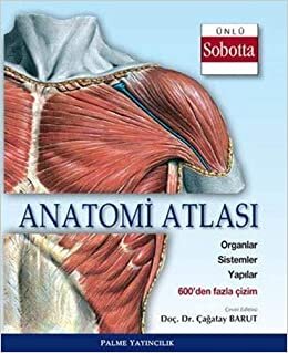 okumak Anatomi Atlası (Sobotta Çizimleri)