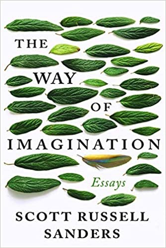 okumak The Way of Imagination: Essays
