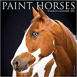 okumak Paint Horses 2021 Calendar