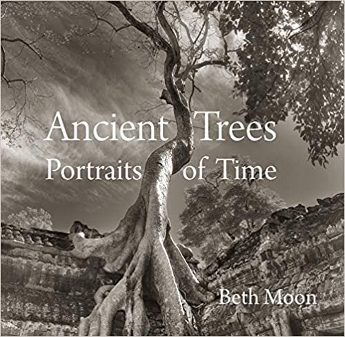 okumak Ancient Trees: Portraits of Time