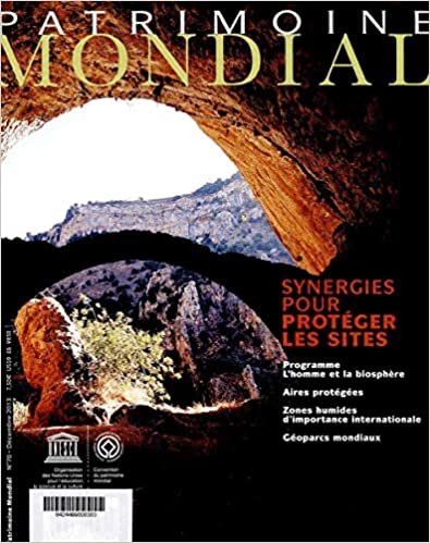okumak synergies pour proteger les sites - pm n 70 decembre 2013 (PATRIMOINE MONDIAL)