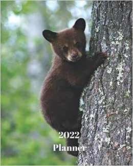 okumak 2022 Planner: Bear Cub- Monthly Calendar with U.S./UK/ Canadian/Christian/Jewish/Muslim Holidays– Calendar in Review/Notes 8 x 10 in.- Animal Nature Wildlife
