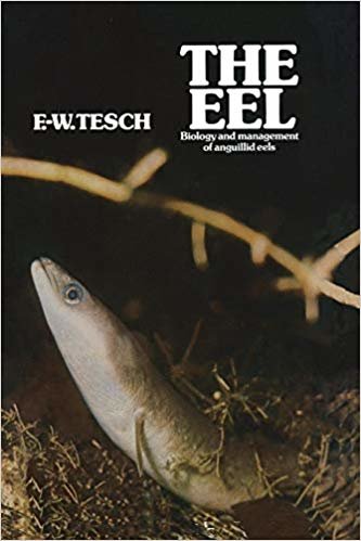 okumak The Eel: Biology and Management of Anguillid Eels