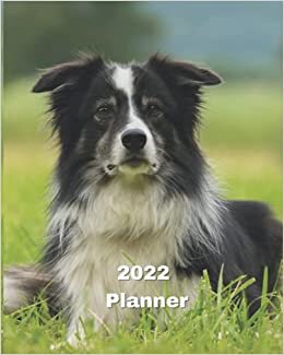 okumak 2022 Planner: Border Collie Dog -12 Month Planner January 2022 to December 2022 Monthly Calendar with U.S./UK/ Canadian/Christian/Jewish/Muslim ... in Review/Notes 8 x 10 in.- Dog Breed Pets