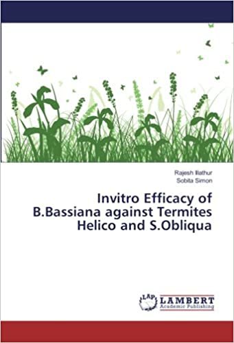 okumak Invitro Efficacy of B.Bassiana against Termites Helico and S.Obliqua