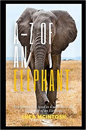 okumak A-Z of an Elephant: Everything You Need to Know About the Life Cycle of an Elephant