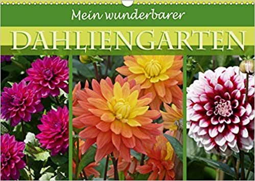okumak Mein wunderbarer Dahliengarten (Wandkalender 2021 DIN A3 quer): Mit den schönsten Gartendahlien durch das ganze Jahr (Monatskalender, 14 Seiten )