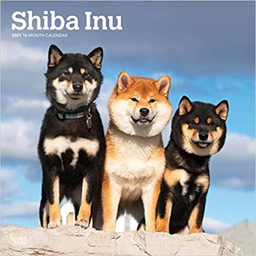 okumak Shiba Inu 2021 - 16-Monatskalender mit freier DogDays-App: Original BrownTrout-Kalender [Mehrsprachig] [Kalender] (Wall-Kalender)