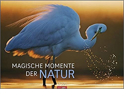 okumak Magische Momente der Natur - Kalender 2021: Die schönsten Tierfotografien