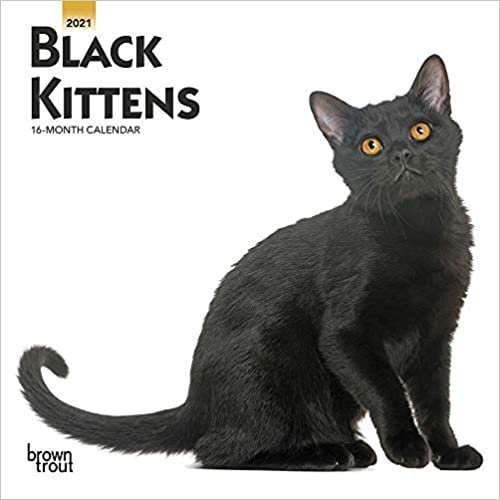 okumak Black Kittens 2021 Calendar