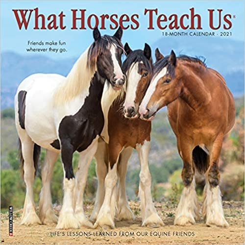 okumak What Horses Teach Us 2021 Calendar