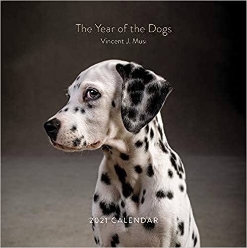 okumak The Year of the Dogs 2021 Calendar: Dog Portrait 12-Month Calendar, Dog Lovers Photography Monthly Calendar