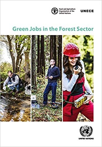 okumak Green Jobs in the Forest Sector (Geneva Timber and Forest Discussion Papers)