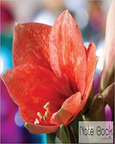 okumak Notebook: amaryllis 1.3 : Notebook Journal Diary, 120 Lined pages, 8&quot; x 10&quot;