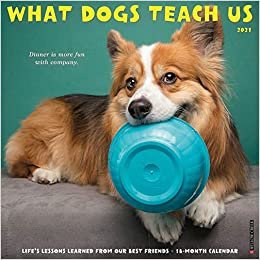 okumak What Dogs Teach Us 2021 Calendar