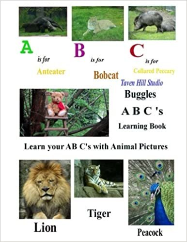 okumak Buggles Learn the A B C&#39;s Book
