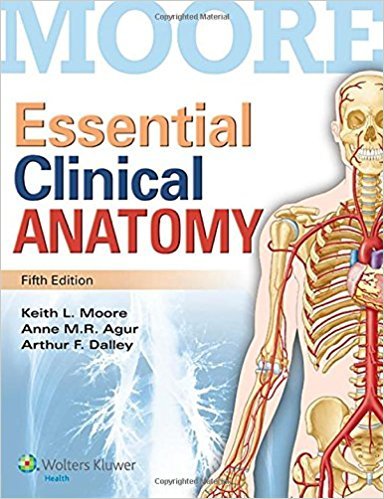 okumak Essential Clinical Anatomy