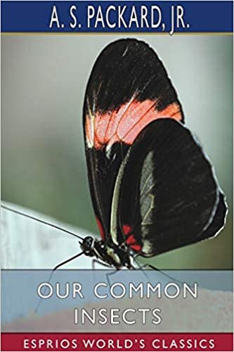 okumak Our Common Insects (Esprios Classics)