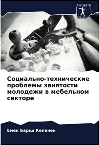 Социально-технические проблемы занятости молодежи в мебельном секторе (Russian Edition)