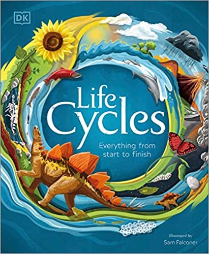 okumak Life Cycles: Everything from Start to Finish