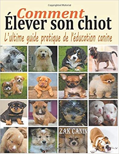 okumak Comment élever son chiot: l&#39;ultime guide de l&#39;éducation canine
