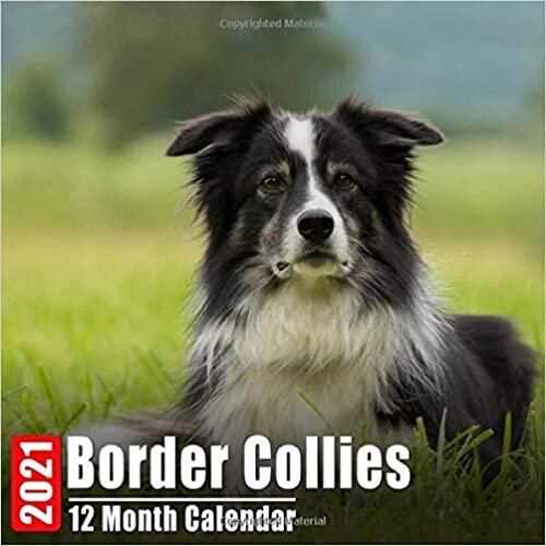 okumak Mini Calendar 2021 Border Collies: Cute Border Collie Photos Monthly Small Calendar With Inspirational Quotes each Month