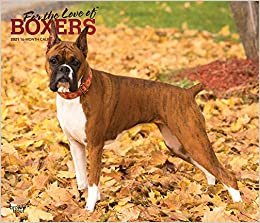 okumak Boxers – For the love of Boxer 2021 - 16-Monatskalender mit freier DogDays-App: Original BrownTrout-Kalender - Deluxe [Mehrsprachig] [Kalender] (Deluxe-Kalender)