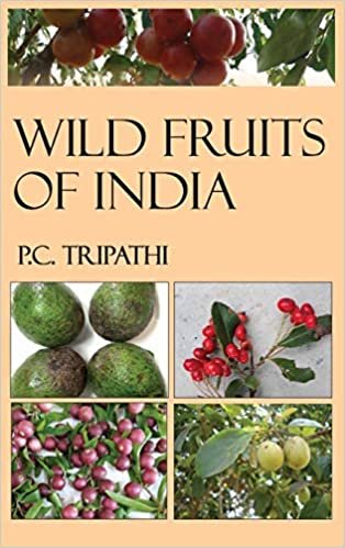 okumak Wild Fruits of India