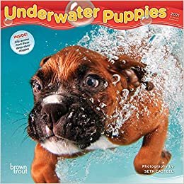 okumak Underwater Puppies 2021 Calendar