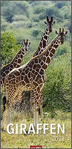 okumak Giraffen - Kalender 2021