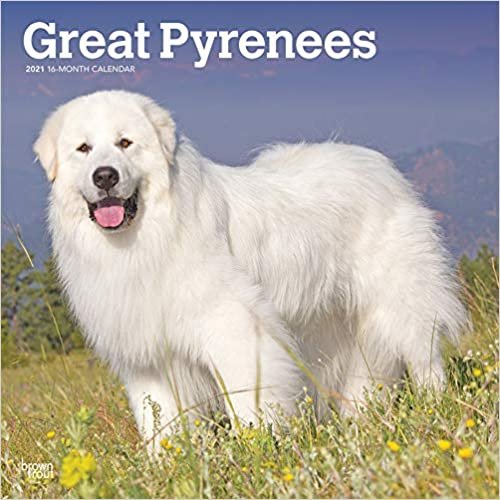 okumak Great Pyrenees - Pyrenäenhunde 2021 - 16-Monatskalender mit freier DogDays-App: Original BrownTrout-Kalender [Mehrsprachig] [Kalender] (Wall-Kalender)