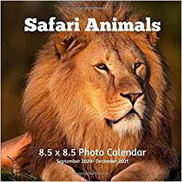 okumak Safari Animals 8.5 X 8.5 Calendar September 2020 -December 2021: Monthly Calendar with U.S./UK/ Canadian/Christian/Jewish/Muslim Holidays-Nature Animals Wildlife
