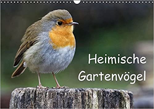 Heimische Gartenvögel (Wandkalender 2016 DIN A3 quer): Wunderschöne Aufnahmen, die die Pracht, Vielfalt und Einzigartigkeit unserer gefiederten ... (Monatskalender, 14 Seiten) (Calvendo Tiere) indir