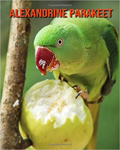 Alexandrine Parakeet: Fascinating Alexandrine Parakeet Facts for Kids with Stunning Pictures! indir