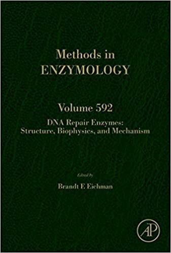 DNA Repair Enzymes: Cell, Molecular, and Chemical Biology: Volume 591 (Methods in Enzymology)