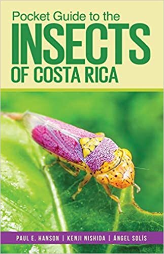 Pocket Guide to the Insects of Costa Rica (Zona Tropical Publications / Antlion Media)