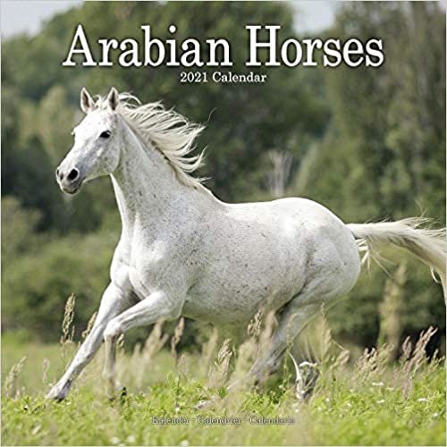 Arabian Horses 2021 Wall Calendar