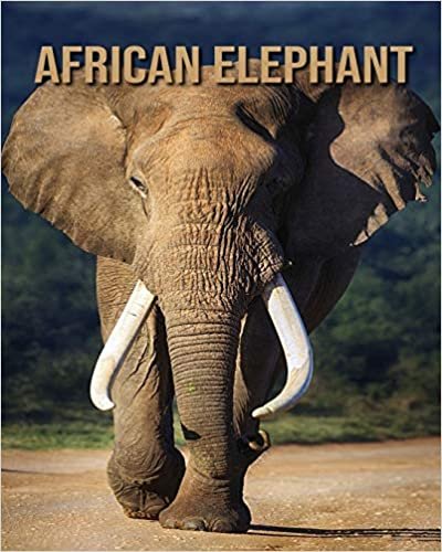 African elephant: Beautiful Pictures & Interesting Facts Children Book About African elephant