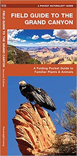 Field Guide to the Grand Canyon: A Folding Pocket Guide to Familiar Plants and Animals (A Pocket Naturalist Guide) indir