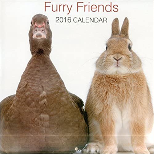 Furry Friends 2016 Calendar (Calendars 2016)