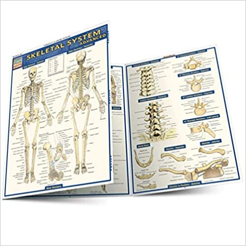 Skeletal System: Advanced (Quick Study: Academic) indir