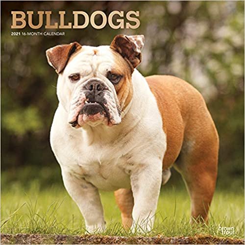 Bulldogs - Bulldoggen 2021 - 18-Monatskalender mit freier DogDays-App: Original BrownTrout-Kalender [Mehrsprachig] [Kalender]
