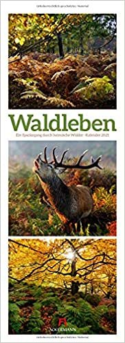 Waldleben - Triplet-Kalender 2021: Ein Spaziergang durch heimische Wälder