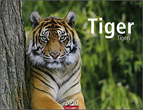 Tiger 2020 indir